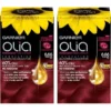 2 X Garnier OLIA 6.66 Extra Deep Red