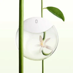 Issey Miyake A Drop EDP 50 Ml 13 Issey Miyake A Drop EDP 50 Ml -Clarins Butik 34232220102945