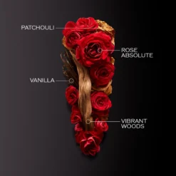 Shiseido Ginza Intense EDP 50 Ml -Clarins Butik 7686141998853