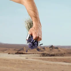 Dolce & Gabbana K Pour Homme EDT 100 Ml -Clarins Butik 80579711815445