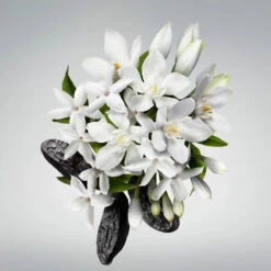 Carolina Herrera Good Girl Body Cream 200 Ml 5 Carolina Herrera Good Girl Body Cream 200 Ml -Clarins Butik 84110618416311