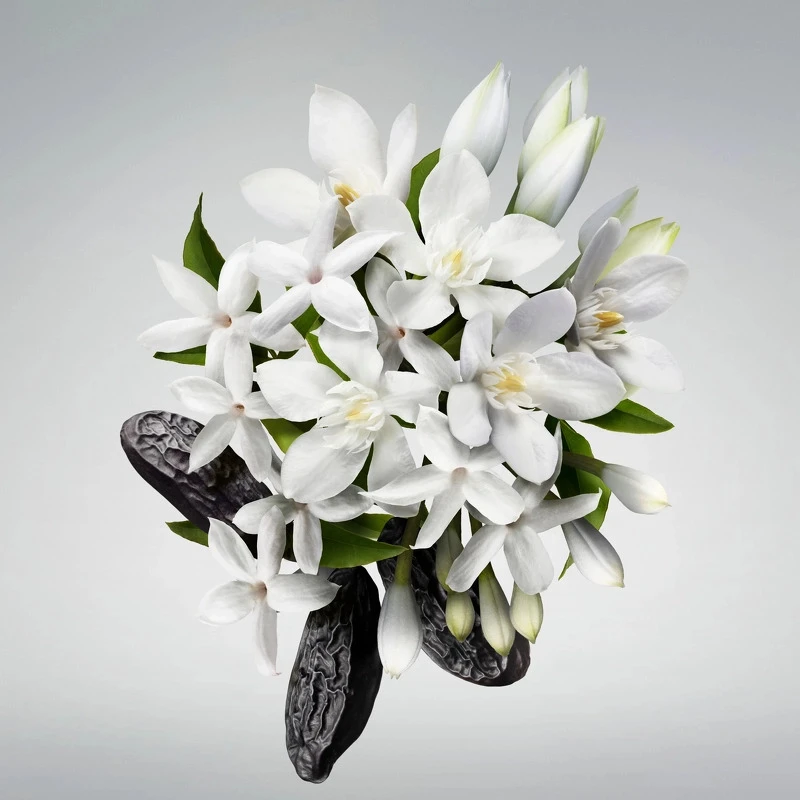 Carolina Herrera Good Girl Body Cream 200 Ml 3 Carolina Herrera Good Girl Body Cream 200 Ml - Billede 3