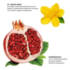 Bare Minerals Smoothness Bare Haven Moisturizer 50 Gr. 6 Bare Minerals Smoothness Bare Haven Moisturizer 50 Gr. -Clarins Butik bare minerals smoothness bare haven moisturizer 50 gr 1645526612