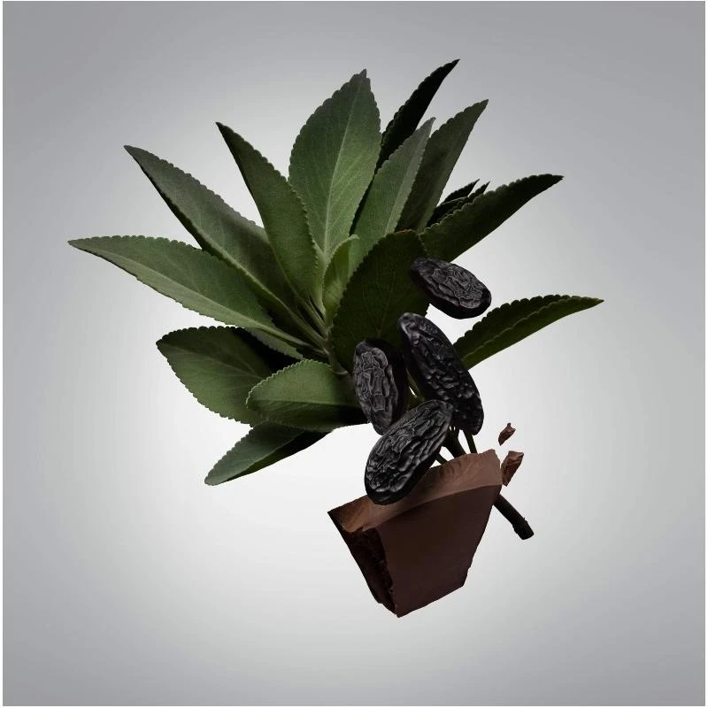 Carolina Herrera Bad Boy Deodorant Natural Spray For Him 100 Ml 2 Carolina Herrera Bad Boy Deodorant Natural Spray For Him 100 Ml - Billede 2