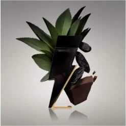 Carolina Herrera Bad Boy For Him EDT 50 Ml -Clarins Butik carolina herrera bad boy for him edt 50 ml 1651823795