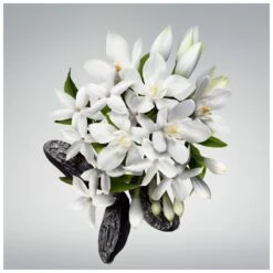 Carolina Herrera Good Girl EDP Travel Spray 3 X 20 Ml 7 Carolina Herrera Good Girl EDP Travel Spray 3 X 20 Ml -Clarins Butik carolina herrera good girl edp travel spray 3 x 20 ml 1657872978