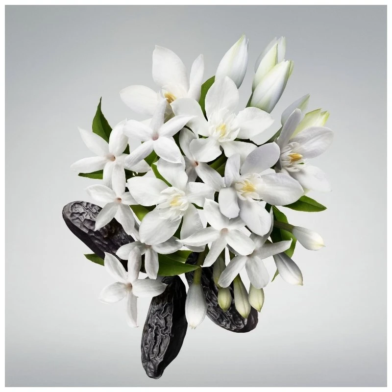 Carolina Herrera Good Girl EDP Travel Spray 3 X 20 Ml 4 Carolina Herrera Good Girl EDP Travel Spray 3 X 20 Ml - Billede 4