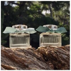 Chloé Signature Rose Naturelle Intense EDP 50 Ml -Clarins Butik chloe signature rose naturelle intense edp 50 ml 1665041571