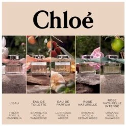 Chloé Signature Rose Naturelle Intense EDP 50 Ml -Clarins Butik chloe signature rose naturelle intense edp 50 ml 1665041597