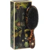 Fan Palm Hair Brush Medium - Turtle