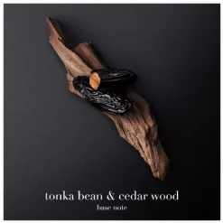 Giorgio Armani Code EDT 50 Ml -Clarins Butik giorgio armani code edt 50 ml 1677588020