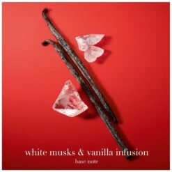 Giorgio Armani Sì Passione Éclat EDP 100 Ml -Clarins Butik giorgio armani si passione eclat edp 100 ml 1643369505