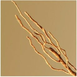 Hugo Boss Bottled EDP 200 Ml 11 Hugo Boss Bottled EDP 200 Ml -Clarins Butik hugo boss bottled edp 200 ml 1601993001