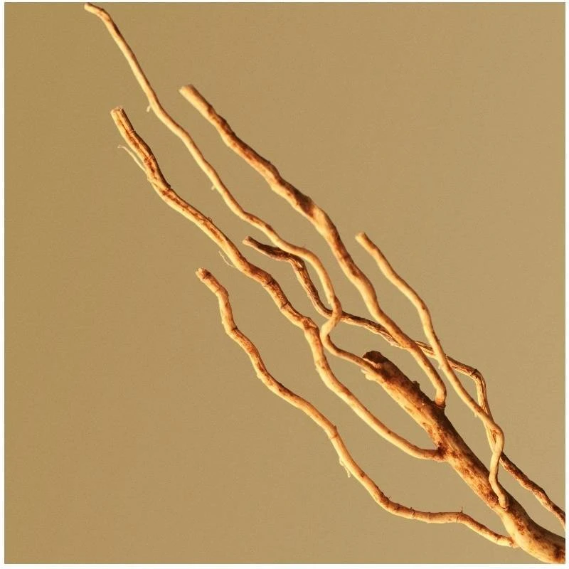 Hugo Boss Bottled EDP 200 Ml 6 Hugo Boss Bottled EDP 200 Ml - Billede 6