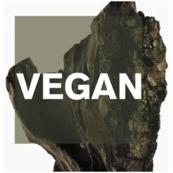 Issey Miyake Cedar EDT 50 Ml -Clarins Butik issey miyake cedar edt 50 ml 1655983385