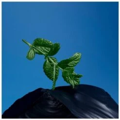 Issey Miyake Fusion D'Issey Extreme EDT 100 Ml -Clarins Butik issey miyake fusion dissey extreme edt 100 ml 1630925655