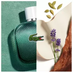 Lacoste L.12.12 Eau Intense EDT 50 Ml -Clarins Butik lacoste l1212 eau intense edt 50 ml 1676882147