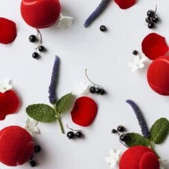 Lacoste L.12.12 French Panache Pour Elle EDT 90 Ml -Clarins Butik lacoste l1212 french panache pour elle edt 90 ml 1598333324