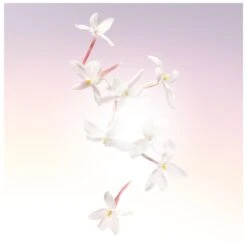 Lancome Lancôme Idôle EDP 50 Ml 17 Lancome Lancôme Idôle EDP 50 Ml -Clarins Butik lancome idole edp 50 ml 1566549626