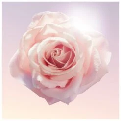 Lancome Lancôme Idôle EDP 50 Ml 19 Lancome Lancôme Idôle EDP 50 Ml -Clarins Butik lancome idole edp 50 ml 1566549945