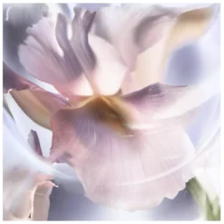 Lancome Lancôme La Vie Est Belle Iris Absolu EDP 30 Ml -Clarins Butik lancome la vie est belle iris absolu edp 30 ml 1677581365