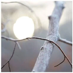 Maison Margiela Replica By The Fireplace EDT 30 Ml -Clarins Butik maison margiela replica by the fireplace edt 30 ml 1670921154