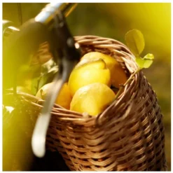 Maison Margiela Replica Under The Lemon Tree EDT 100 Ml -Clarins Butik maison margiela replica under the lemon tree edt 100 ml 1672743503