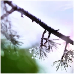 Maison Margiela Replica When The Rain Stops EDT 100 Ml -Clarins Butik maison margiela replica when the rain stops edt 30 ml 4