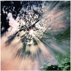 Maison Margiela Replica When The Rain Stops EDT 100 Ml -Clarins Butik maison margiela replica when the rain stops edt 30 ml 5