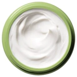 Origins A Perfect World™ SPF 40 Age-Defense Moisturizer With White Tea 50 Ml -Clarins Butik origins a perfect world spf 40 age defense moisturizer 50 ml 1591961723