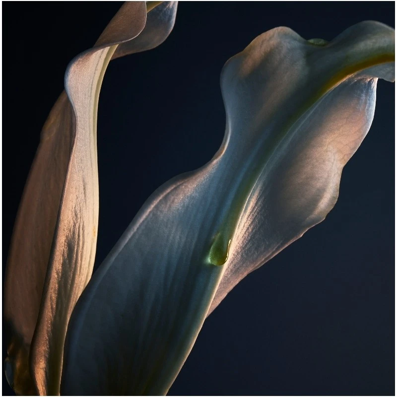 Paco Rabanne Lady Million Sensual Body Lotion 200 Ml 4 Paco Rabanne Lady Million Sensual Body Lotion 200 Ml - Billede 4