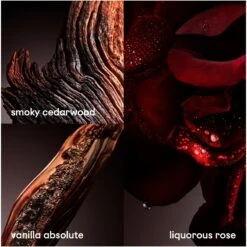 Paco Rabanne One Million Elixir EDP 100 Ml -Clarins Butik paco rabanne one million elixir edp 100 ml 1650958105