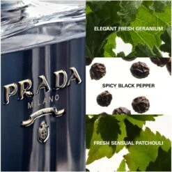 Prada L'Homme EDT 50 Ml 7 Prada L'Homme EDT 50 Ml -Clarins Butik prada lhomme edt 50 ml 1643617297
