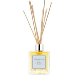 Tromborg Aroma Therapy Room Diffuser Menthe 200 Ml