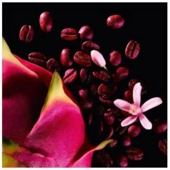 Yves Saint Laurent YSL Black Opium Neon EDP 30 Ml -Clarins Butik ysl black opium neon edp 30 ml 1580306642