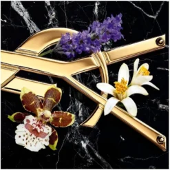 Yves Saint Laurent YSL Libre Intense EDP 30 Ml -Clarins Butik ysl libre intense edp 30 ml 1600766128